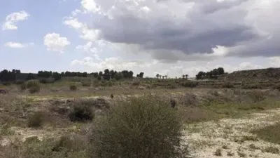 Terreno en venta en Orihuela Pedanías - Vista 4
