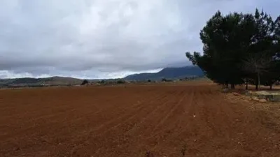 Pis - Vista 4