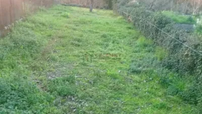 Chalet in O Pereiro de Aguiar photo 28