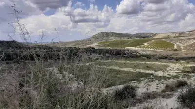 Terreno en venta en Orihuela Pedanías - Vista 3