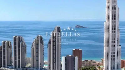 Pis - Vista 4