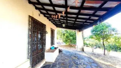 Rustic house on Calle Colonia, 51 photo 53