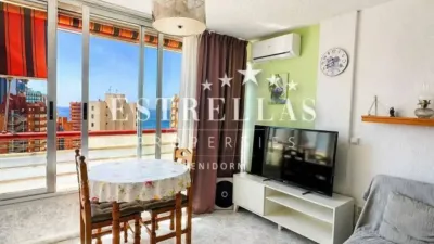 Piso - Vista 3
