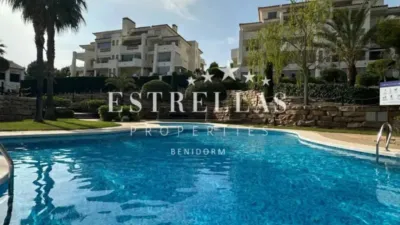 Pis - Vista 2