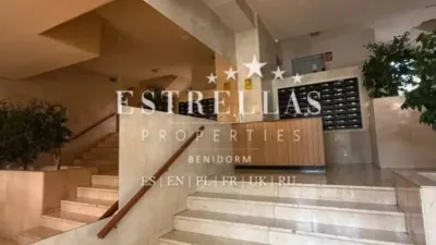 Pis - Vista 5