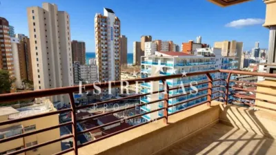Apartment in Benidorm photo 11