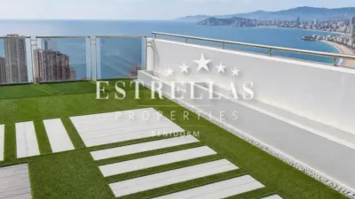 Pis - Vista 3