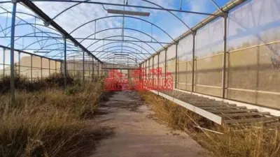Terreno en venta en Novelda - Vista 3