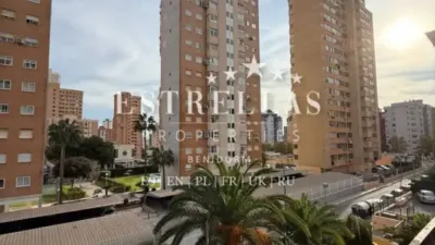 Pis - Vista 4