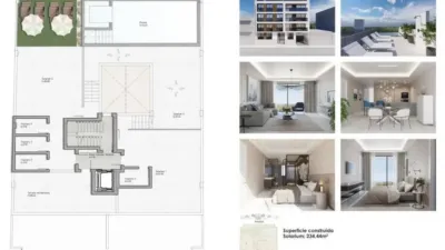 Apartment in Guardamar del Segura photo 15