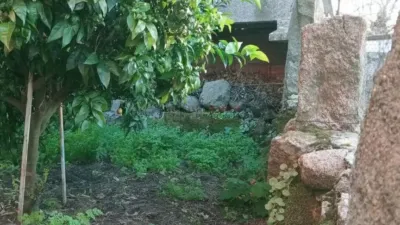 Chalet in O Pereiro de Aguiar photo 2