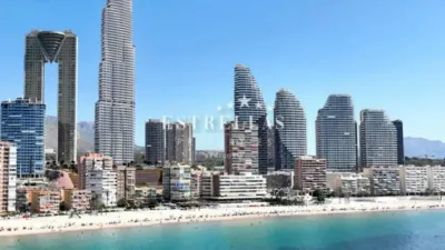 Apartment in Benidorm photo 3