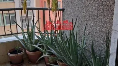 Apartment in the City Centre photo 87