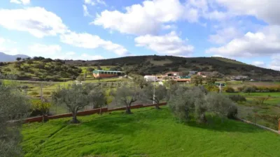 Chalet in Villar del Pedroso photo 24