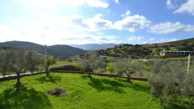 Chalet in Villar del Pedroso photo 22