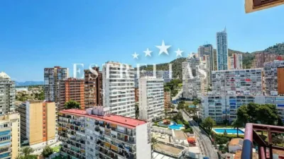 Apartment in Benidorm photo 7