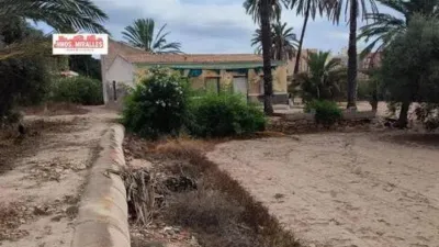 Piso – Elx / Elche, Regs del Porvenir, la Marina - Vista 3