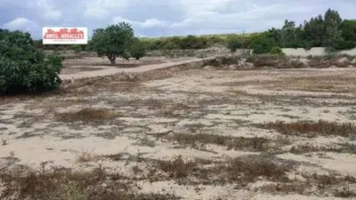 Piso – Elx / Elche, Regs del Porvenir, la Marina - Más