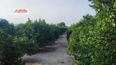 Terreno en venta en Dolores - Vista 3