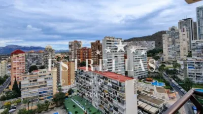 Apartment in Benidorm photo 10