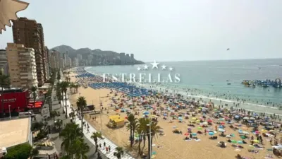 Apartment in Benidorm photo 43