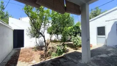 House on Avenida de la Constitución photo 39