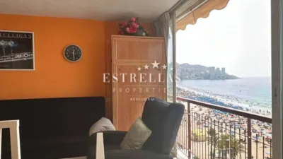 Piso - Vista 4