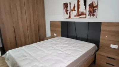 Apartment in Plasencia photo 3