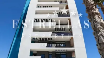 Apartment in Benidorm photo 12