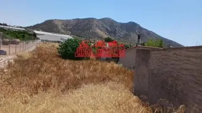 Terreno en venta en Algueña - Vista 4
