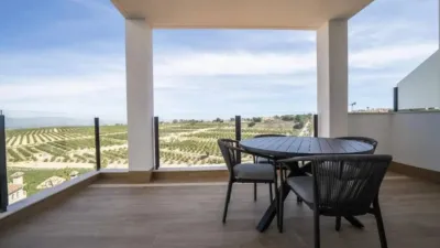Chalet in Algorfa photo 41