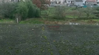 Chalet in San Cibrao Das Viñas (Capital) photo 10