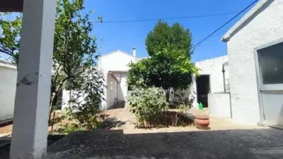 House on Avenida de la Constitución photo 18