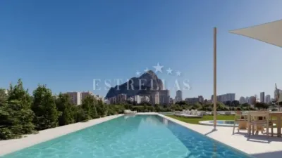 Piso - Más