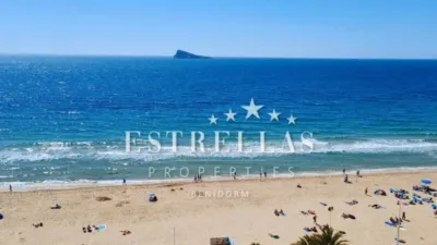 Pis - Vista 5