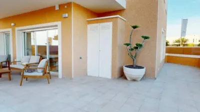 Apartment in Guardamar del Segura photo 39