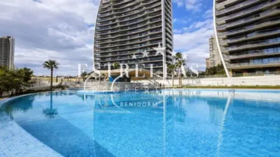 Apartment in Benidorm photo 14