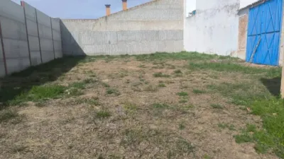 Miniatura 11