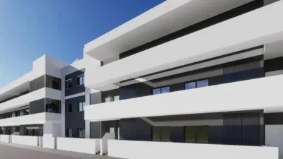 Apartment in Benijófar photo 28