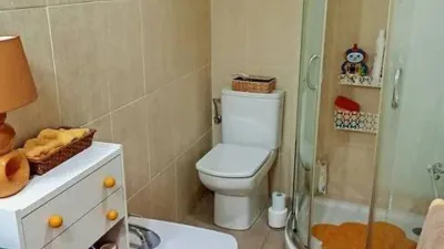 Apartment in Centro-Parque de La Manguilla photo 15