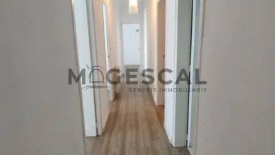 Apartment in Sentmenat photo 20