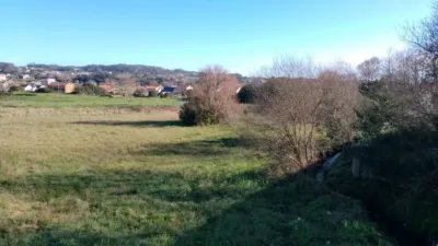 Chalet in Ribeira photo 38