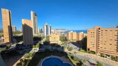 Pis – Benidorm - Vista 2