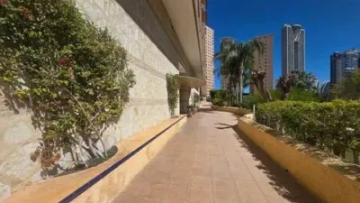 Apartment in Platja de Ponent photo 24