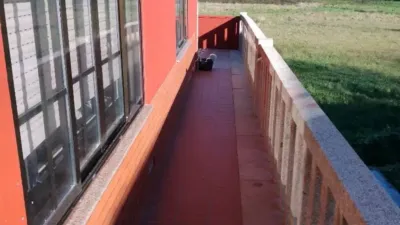 Chalet in Ribeira photo 40