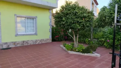 Pis – Palmeira, O Rueiro do Porto, As Robaleiras - Vista 2