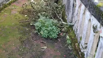 Chalet en venta en Ribeira - Más