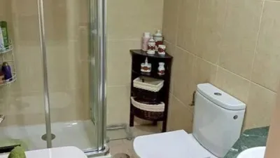 Apartment in Centro-Parque de La Manguilla photo 13