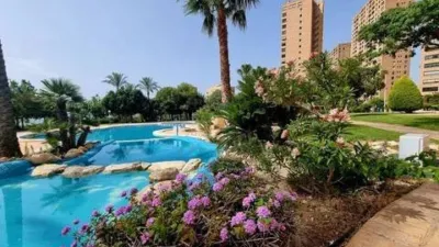 Piso – Benidorm - Vista 4