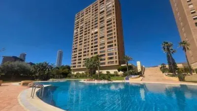 Apartment in Platja de Ponent photo 29
